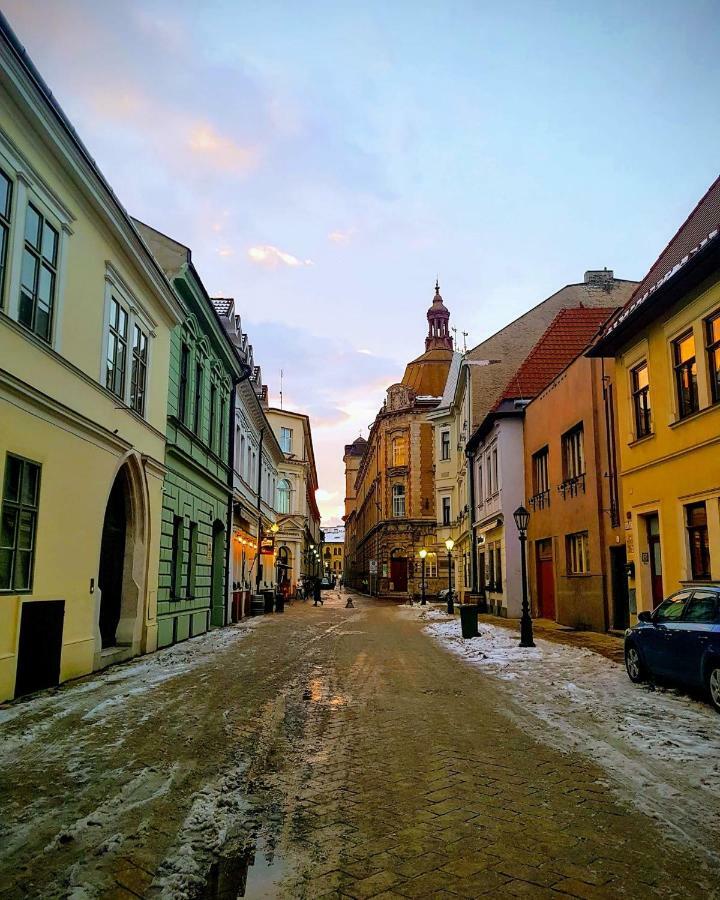 Old Town Vintage Apartment Sturova Košice Eksteriør billede