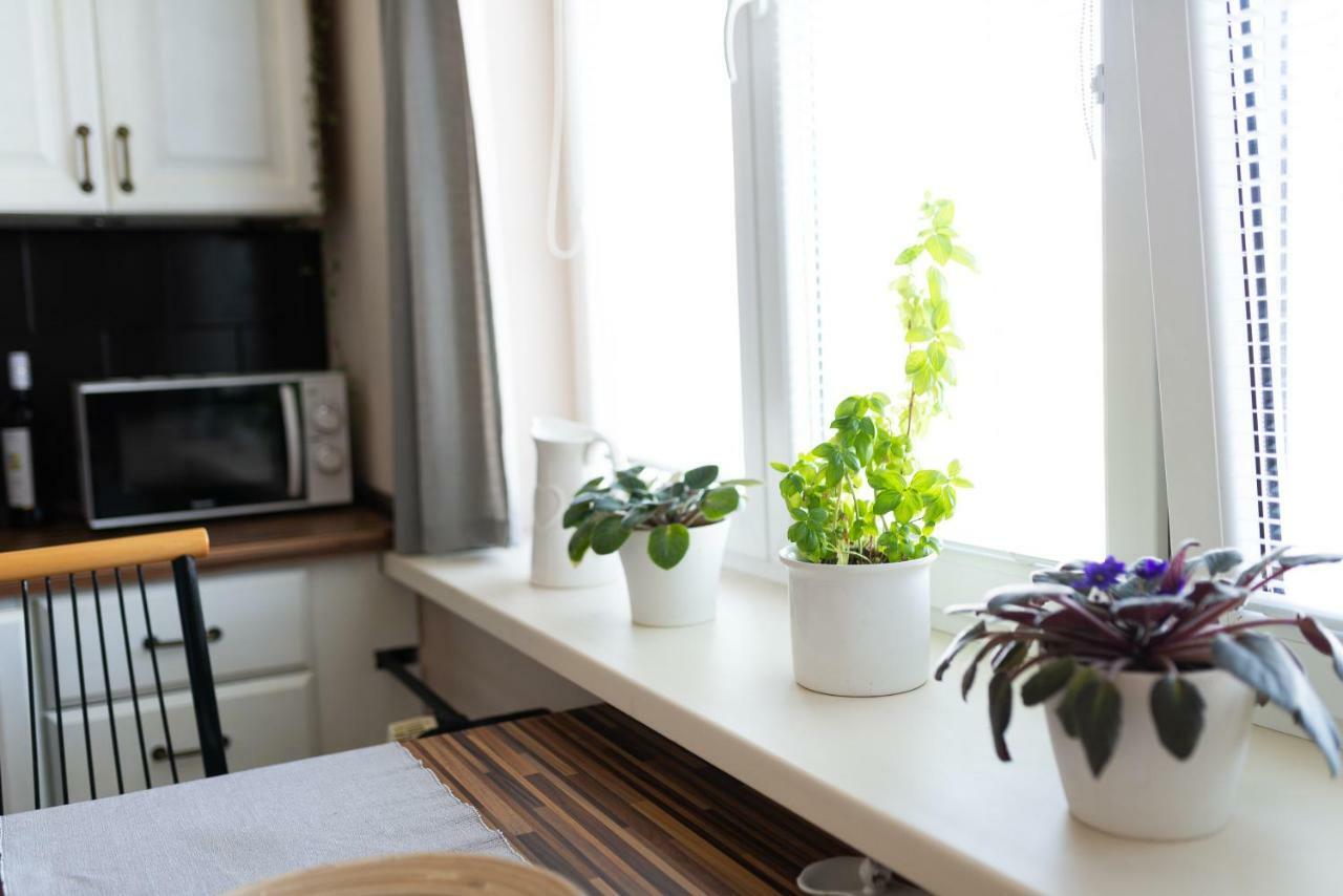 Old Town Vintage Apartment Sturova Košice Eksteriør billede